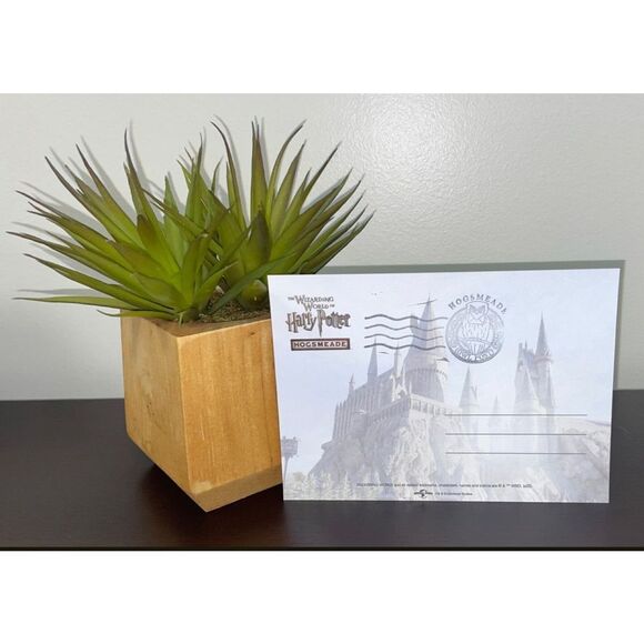 Universal Orlando Wizarding World of HARRY‎ POTTER Hogsmeade Stamped Postcard. - Picture 2 of 2